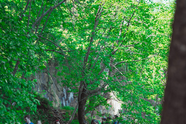 Zadar : Visite guidée des lacs de Plitvice avec billets