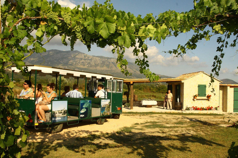 From Dubrovnik Konavle wine tasting tour and Cavtat