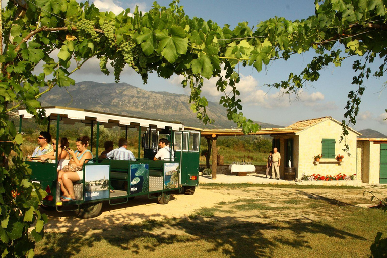 From Dubrovnik Konavle wine tasting tour and Cavtat