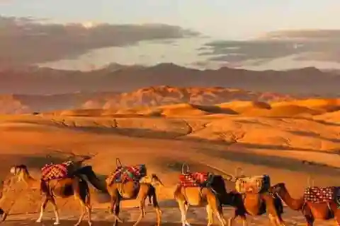 JANTAR NO DESERTO DE AGAFAY SOB AS ESTRELAS COM ESPETÁCULO E CAMELOS