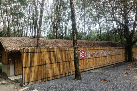 Programa de una noche en el Santuario Ético de Elefantes de Khao LakExcursión con punto de encuentro