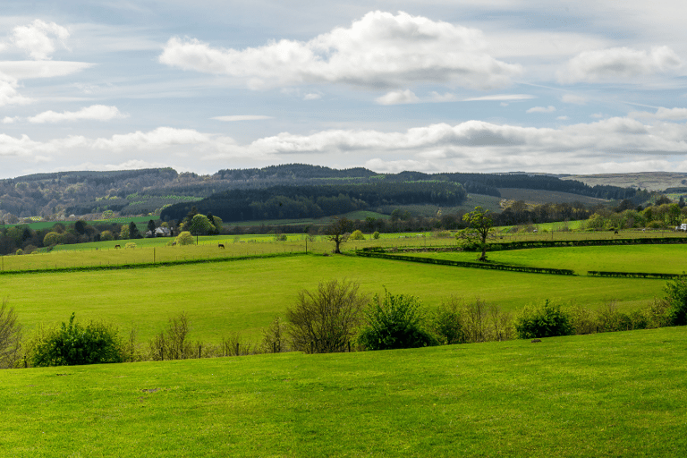 Loch Lomond &amp; Trossachs National Park Drive Tour with an AppLoch Lomond Driving Tour