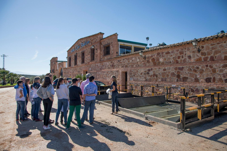 "Oro Bailén": Tour of Oro Bailen Grove + Mill + Tasting Visita al olivar + almazara + degustación (español)