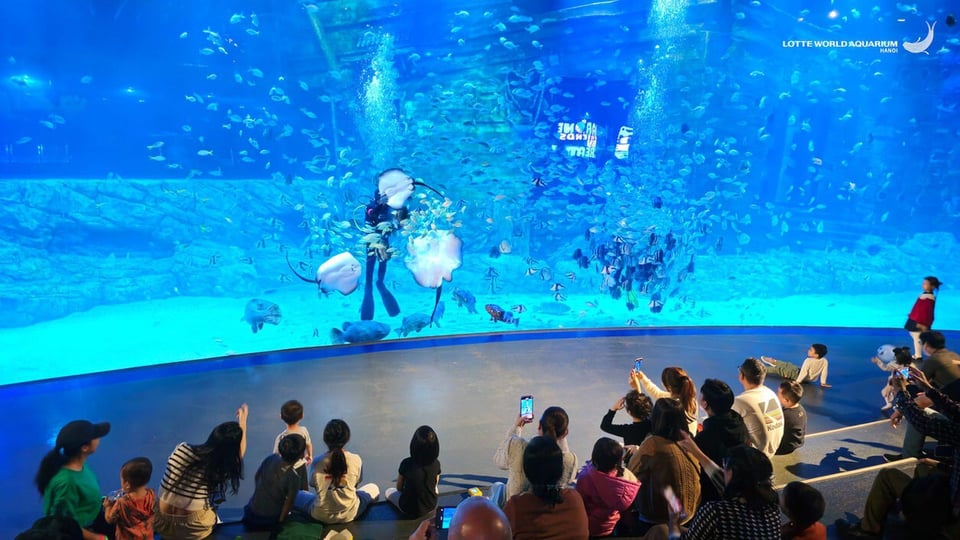 Acvariul Lotte World din Hanoi: Bilet de intrare