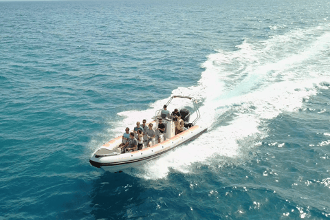 From Alicante: Speedboat tour along the coast with a swim stop From Alicante: Speedboat tour along the coast with a stop for a swim