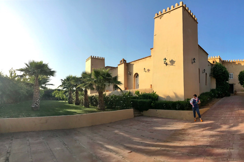 Agadir Excursion To Taroudant oissis Tiout With Lunch