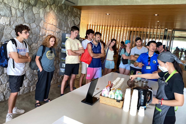 Chiang Rai: Popular Sightseeing Tour 7 places , Buffet Lunch Chiang Rai: Popular Sightseeing Tour 7 places ,Buffet Lunch