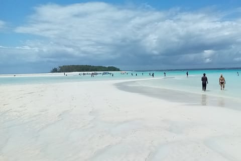 Mnemba Island Tour & Dolphins Watching, Snorkeling