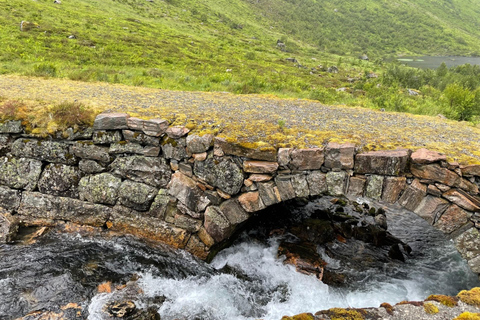 Excursion en E-bike de Hellesylt à Norangsdalen