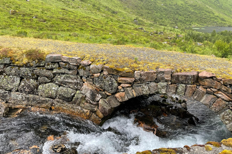 Excursion en E-bike de Hellesylt à Norangsdalen