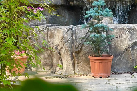 Tbilisi: 7-Day Guided Tour with Hotel and Transfers