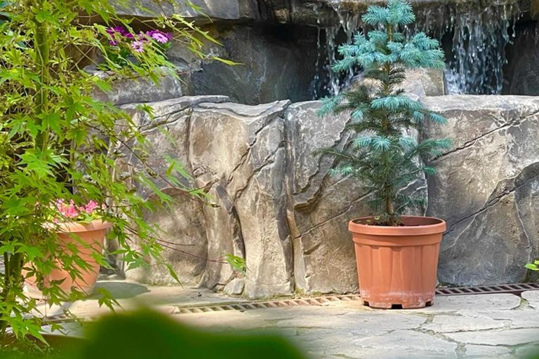 Tbilisi: 7-Day Guided Tour with Hotel and Transfers