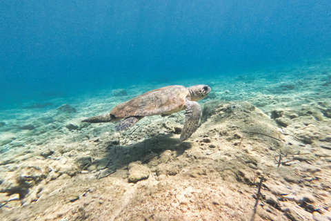 FROM PAPHOS: Snorkeling at Moulia Rocks (boat)