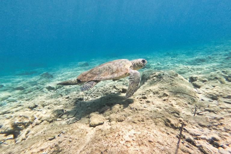 FROM PAPHOS: Snorkeling at Moulia Rocks (boat)