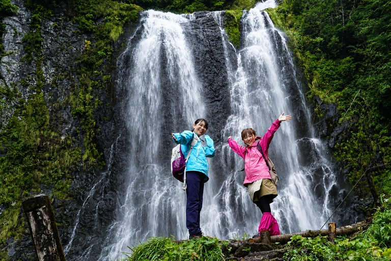 From Arusha: Marangu Village Tour with Coffee & Waterfall