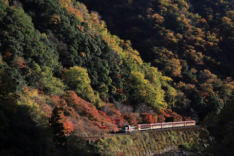 Kyoto: Arashiyama Private Tour mit dem Romantikzug SaganoPrivate Tour