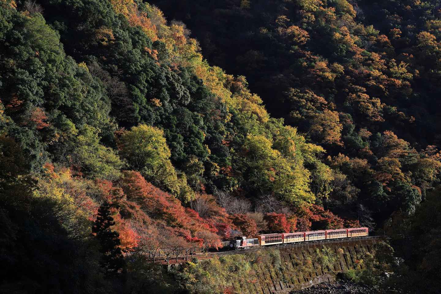Kyoto: Arashiyama Tour with optional Sagano Romantic Train - Private Tour without Train Ride