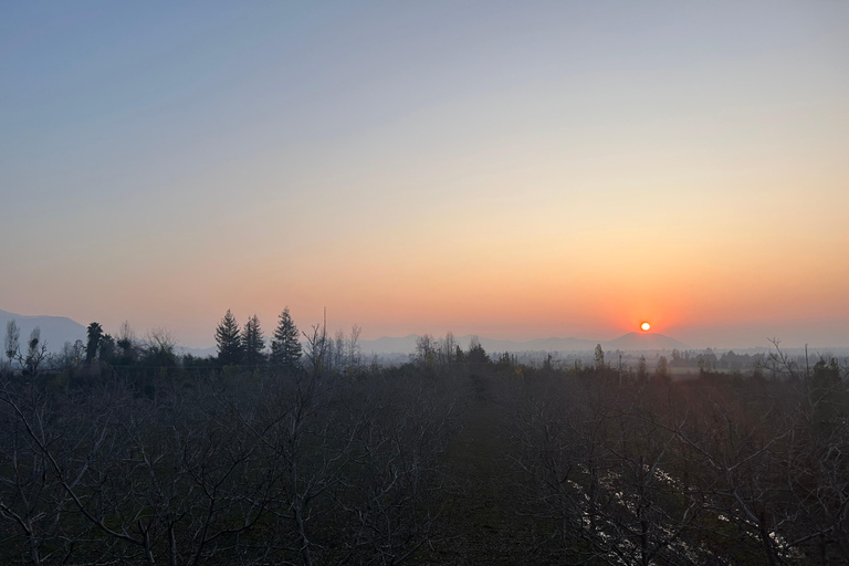 Aylan Family Wines | The Sunset Tour