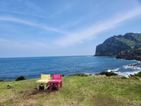 济州岛的东部，欣快的全天旅行 - Housity