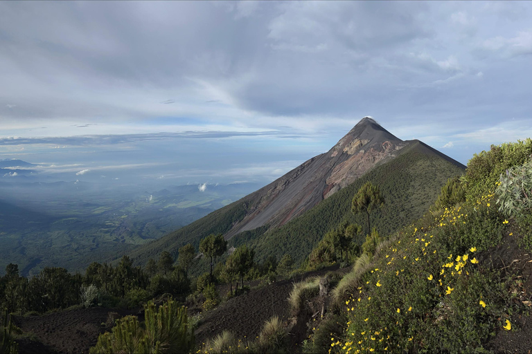 Depuis Panajachel : Navette partagée vers Guatemala City