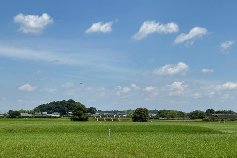 Nara : Ancien palais impérial, Heijokyu - Visite guidée 2H