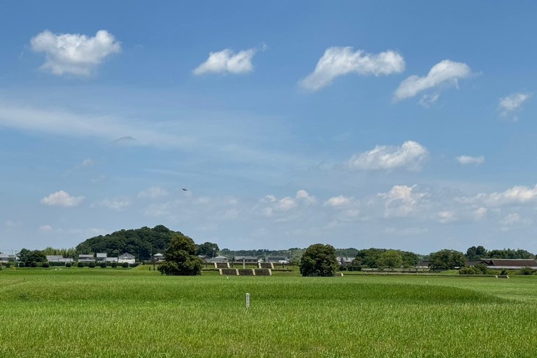 Nara: Alter Kaiserpalast, Heijokyu - Geführte Tour 2 Stunden