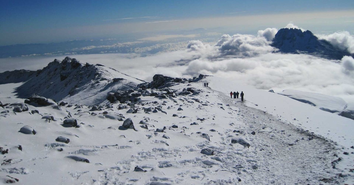 7 Tage Kilimanjaro Marangu Route GetYourGuide