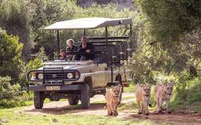 2 Day Small Group Cape Town: Garden Route Big 5 Safari Tour