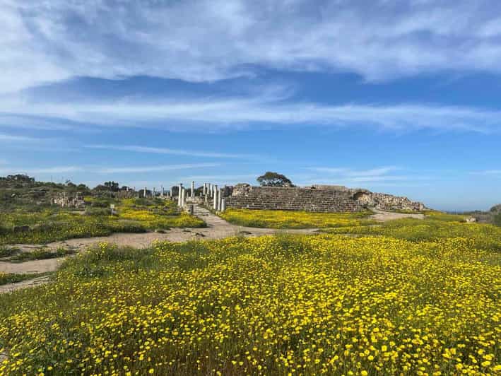 Da Paphos: tour a piedi di Famagosta, Salamina e Varosha