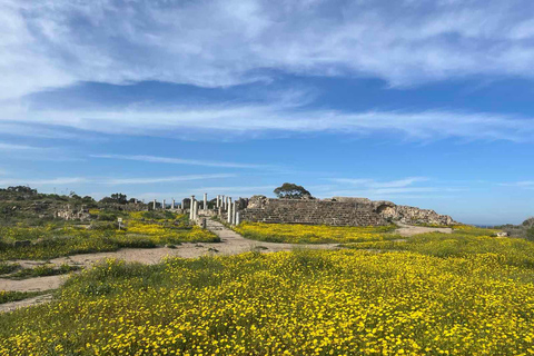 From Paphos: Famagusta, Salamis, and Varosha Walking Tour