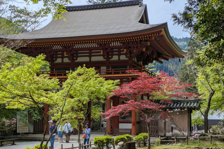 From Osaka: Muroji Temple, Dragon Shrine & Art Forest Tour