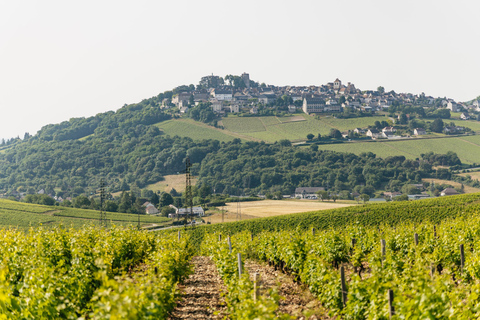 From Paris: Private Sancerre Wine Tour w 10 Tastings & Lunch