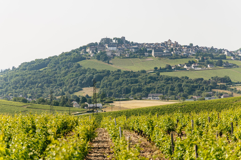 From Paris: Private Sancerre Wine Tour w 10 Tastings & Lunch
