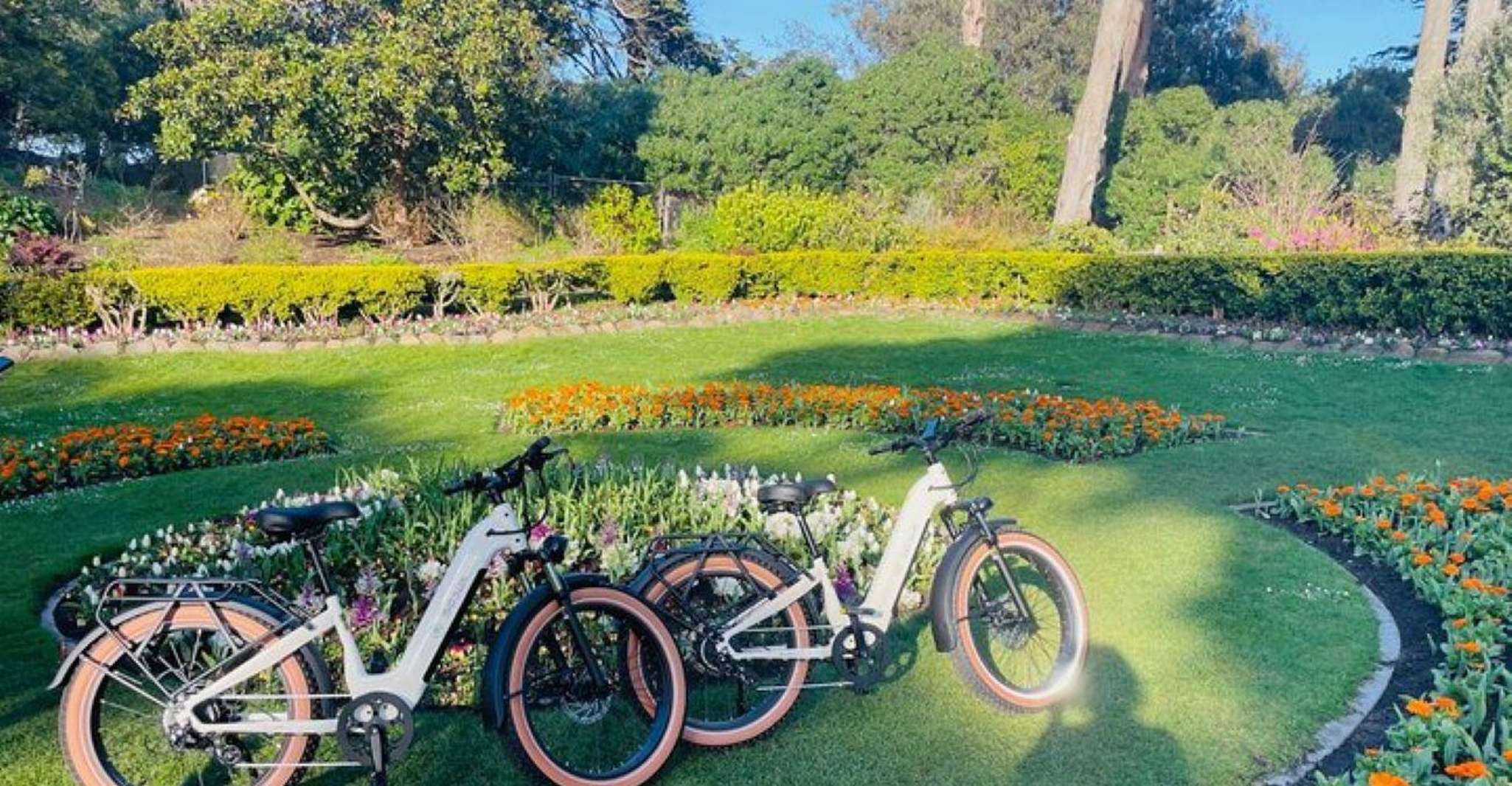San Francisco: Summer of Love Guided eBike Tour