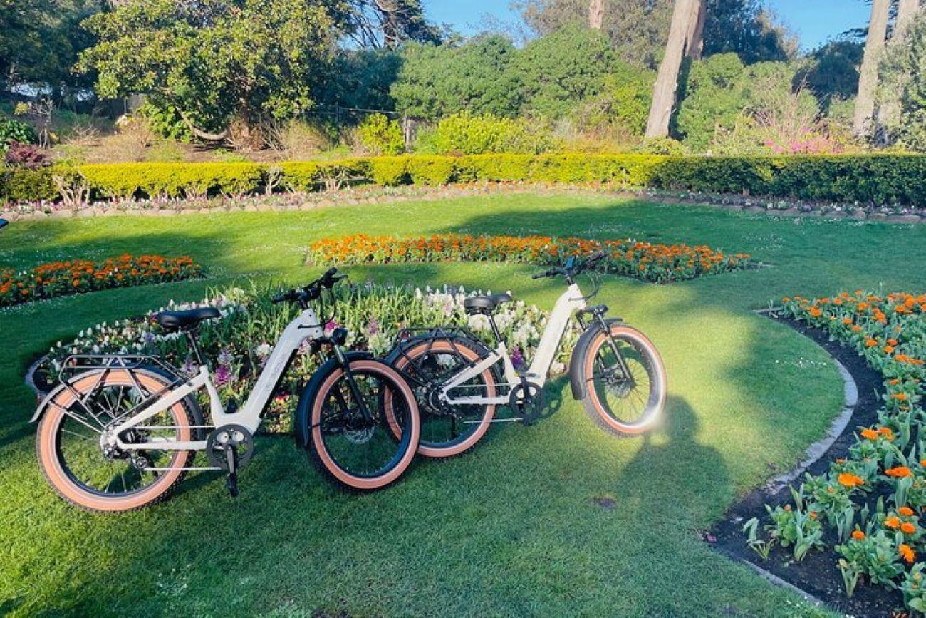 San Francisco: Summer of Love Geführte eBike Tour