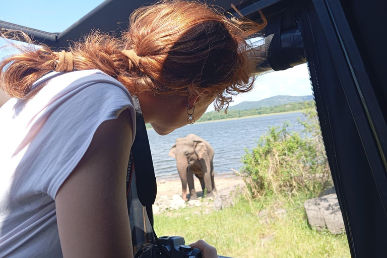 Minneriya: Safari de jipe no Parque Nacional de Minneriya com serviço de busca