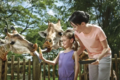 Mandai Park Entree met keuze uit attracties