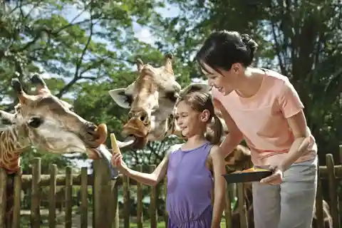 Mandai Park Entry with Choice of Attractions