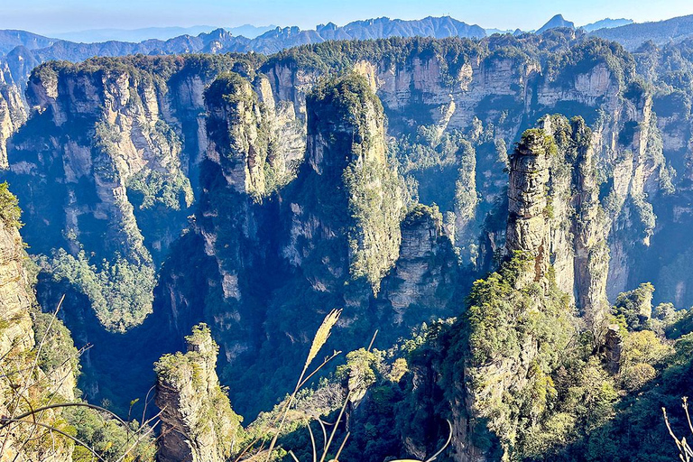 Private Zhangjiajie Tour: Avatar Mountains & Glass Bridge