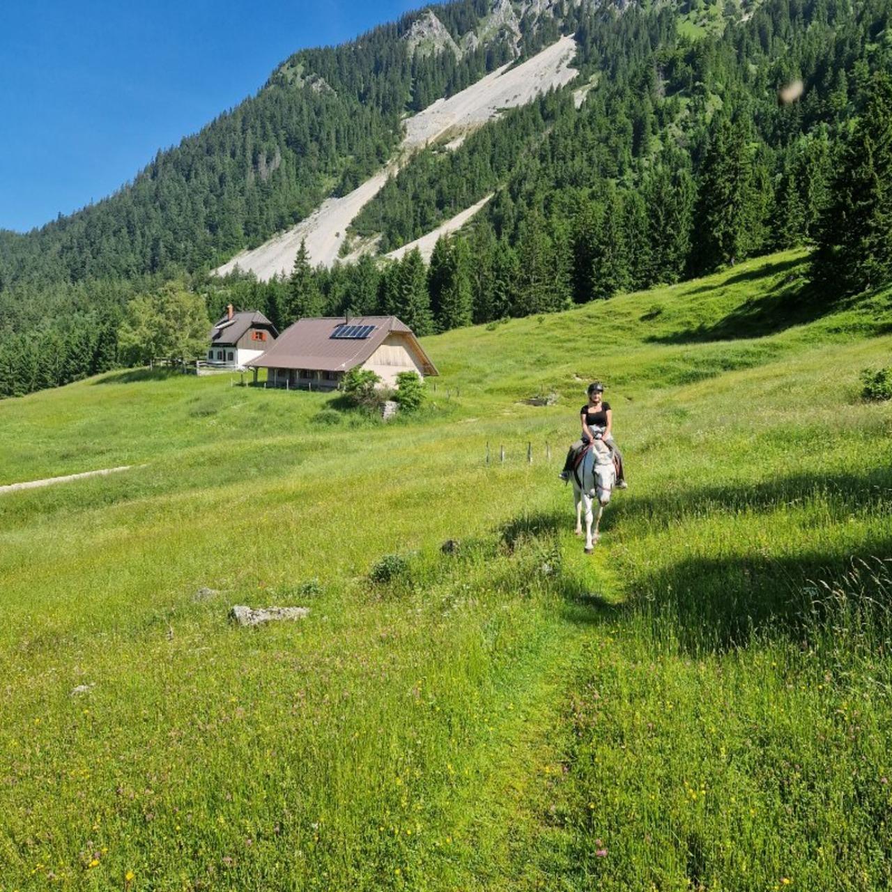 Bled: Reitausflug im Triglav-Nationalpark
