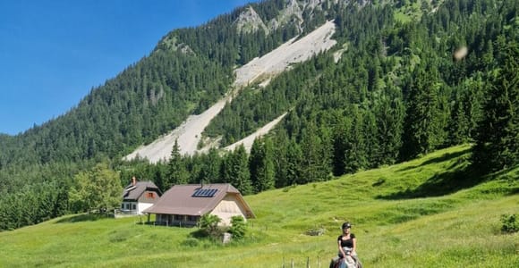 Bled: Pokljuka & Triglav National Park Horseback Riding Tour
