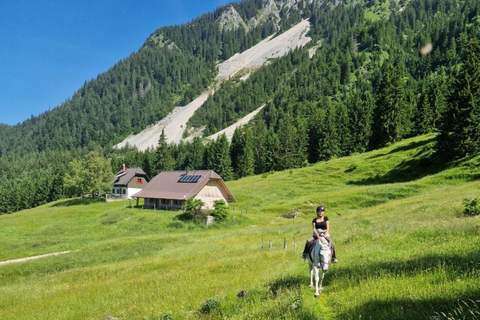 Bled: Horseback Riding Tour in Triglav National Park