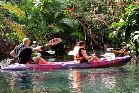 Ao Nang: Horse Riding Tour and kayaking clongrood