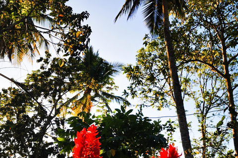 Senderismo en Puerto Plata - Experiencia de Naturaleza y Folclore