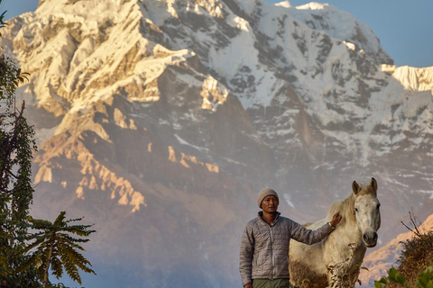 Pokhara: 2-Day Express Poon Hill Trek by Private Jeep All Inclusive With A Guide And Private Jeep