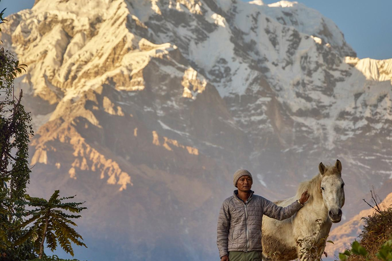 Pokhara: 2-Day Express Poon Hill Trek by Private Jeep All Inclusive With A Guide And Private Jeep