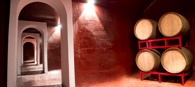 Turi: Coppi Winery Tour with Wine Tasting