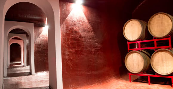 Turi: Coppi Winery Tour with Wine Tasting