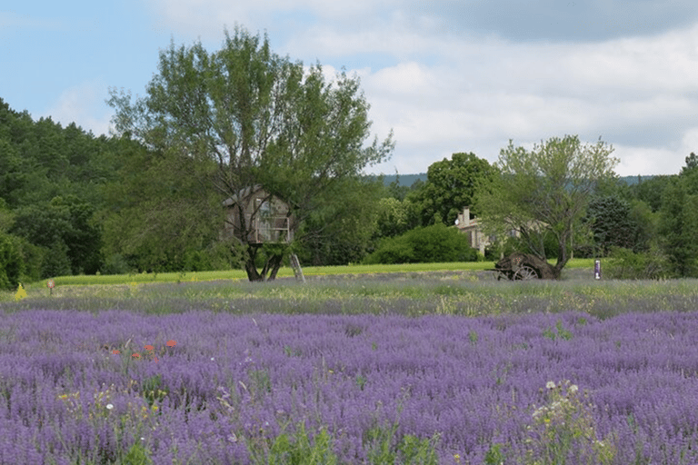 Visite d&#039;une jounée privée au départ d&#039;Avignon