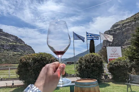 From Athens: Wine Roads Private Tour with Wine Tasting